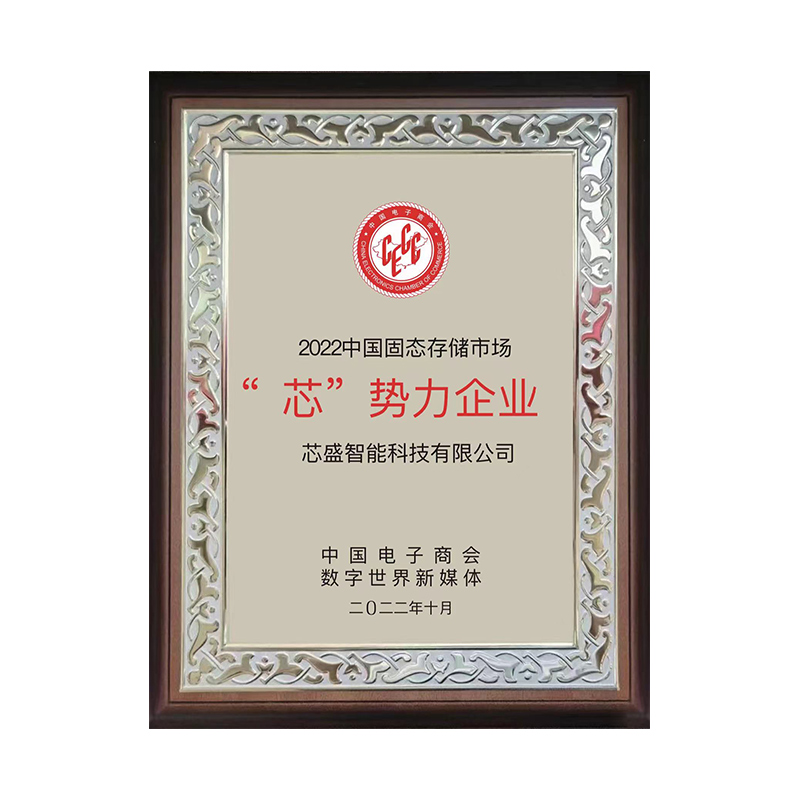 The core force enterprises in China's solid-state storage market in 2022